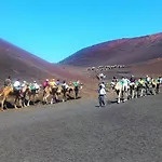 Adais * 普拉亚布兰卡