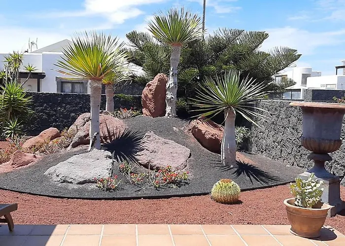 Adais * 플라야블랑카